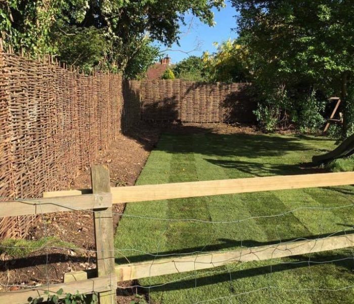 20240318_105532729_iOS