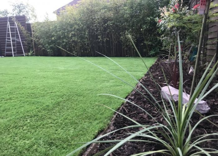 20240414_072746469_iOS