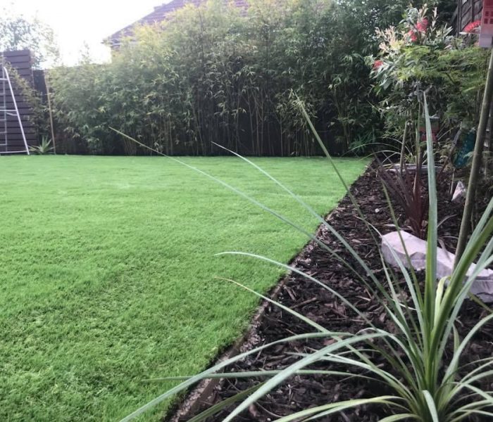 20240414_072746469_iOS