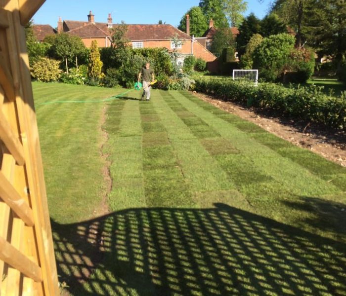 20240414_073458384_iOS