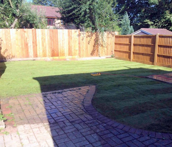 20240414_073931284_iOS