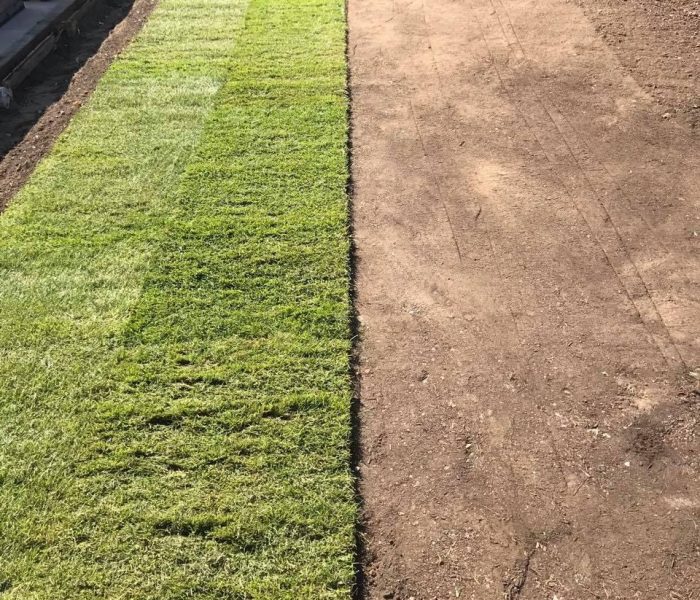 20240627_081201464_iOS