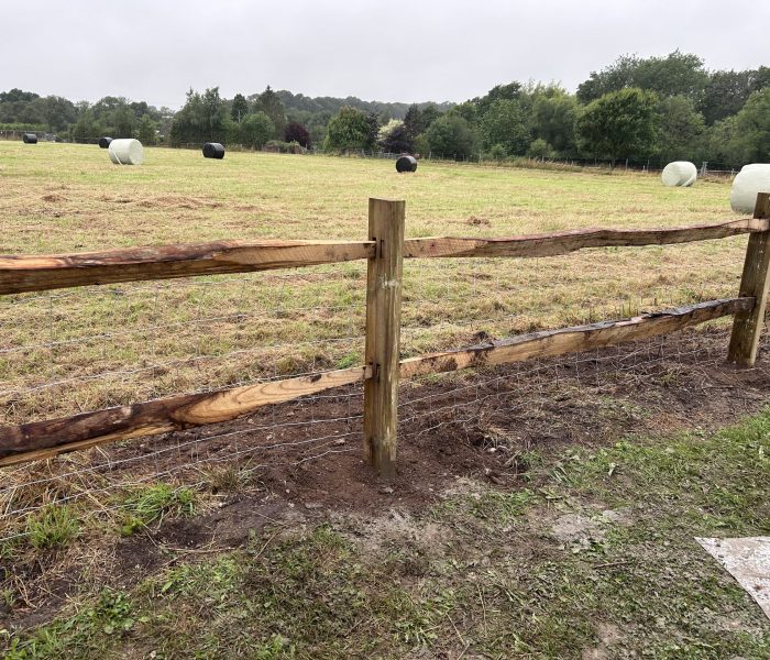 20240725_152550335_iOS