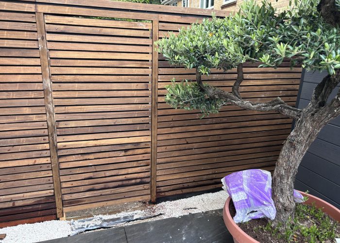 20240912_154945435_iOS