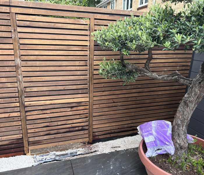 20240912_154945435_iOS