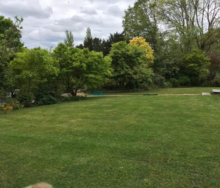 20250615_185030853_iOS