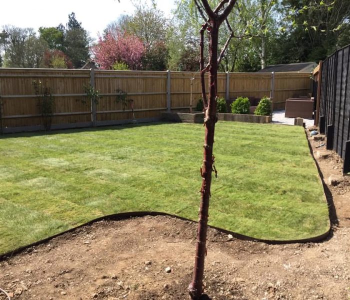 20250615_185052332_iOS