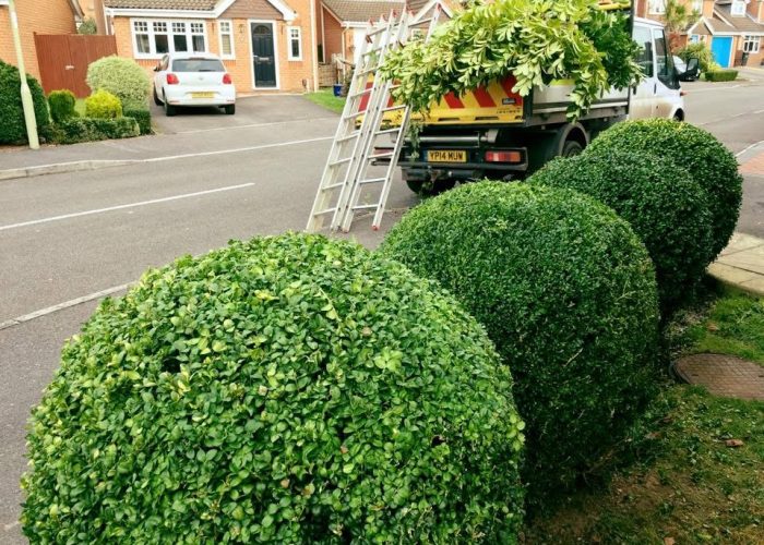 20250615_191622142_iOS