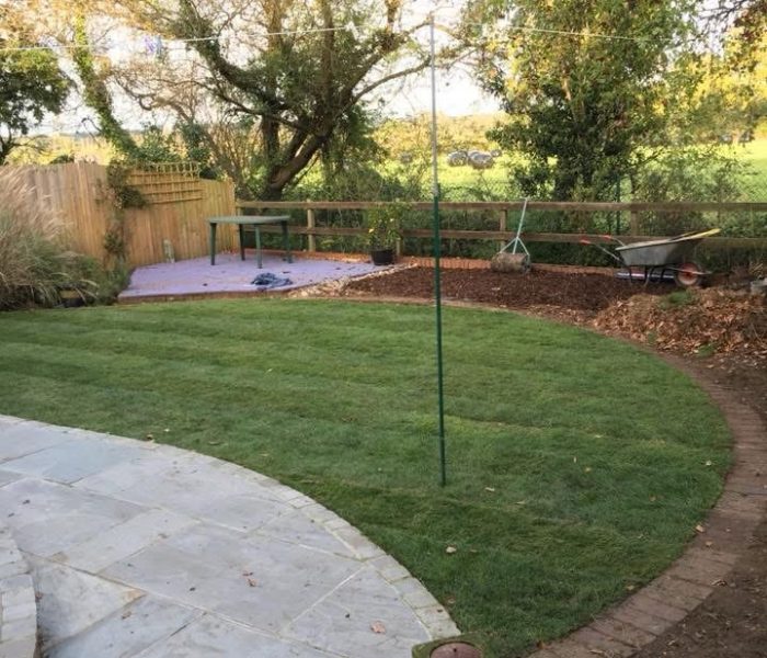 20250615_191624975_iOS