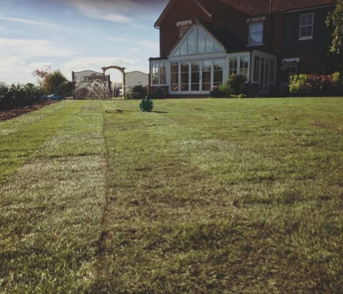 20250615_191816960_iOS