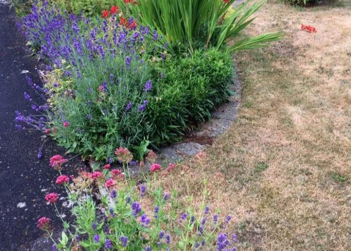 20250615_191831723_iOS