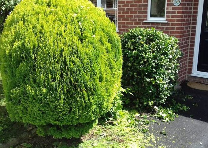 20250615_191923263_iOS