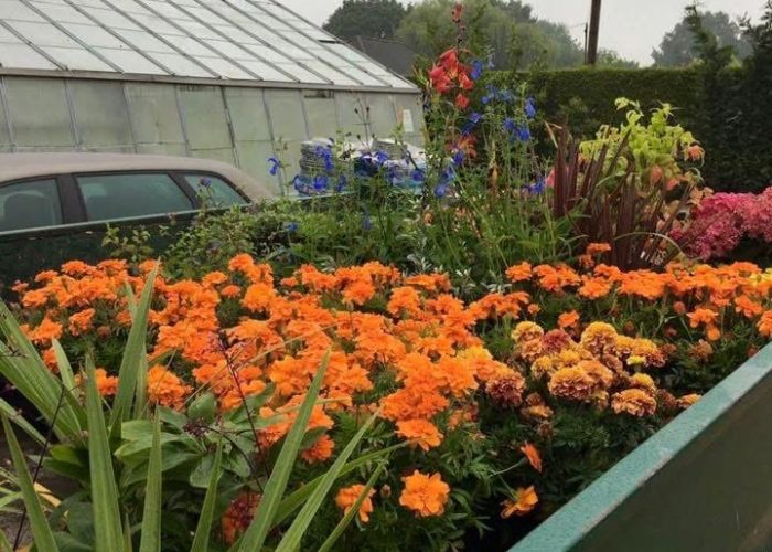 20250616_045816286_iOS