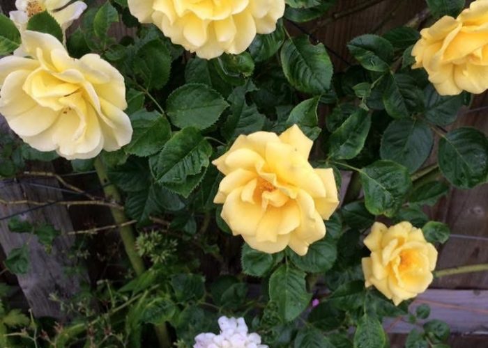 20250616_045830777_iOS